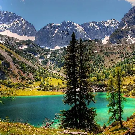 Appartmenthaus Birkenwald 公寓 *