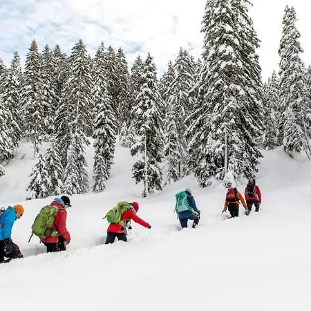 Appartmenthaus Birkenwald * Seefeld in Tirol