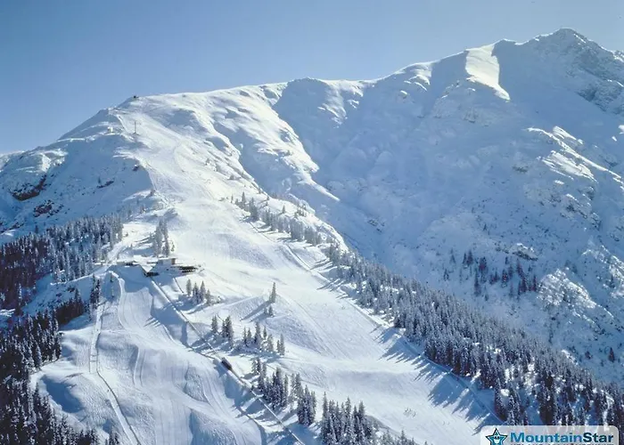 Apartamento Appartmenthaus Birkenwald *