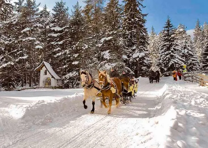 Appartmenthaus Birkenwald Appartamento *