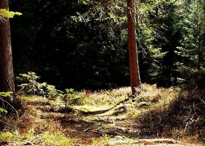 Appartmenthaus Birkenwald