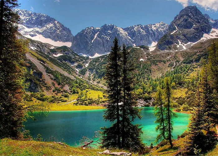 Appartmenthaus Birkenwald 公寓 *