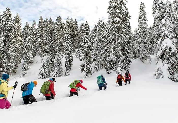 Appartmenthaus Birkenwald * Seefeld in Tirol