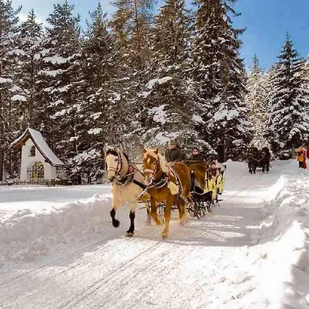 Appartmenthaus Birkenwald Lägenhet *